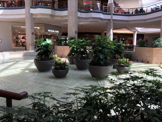 Saint Louis Galleria Street