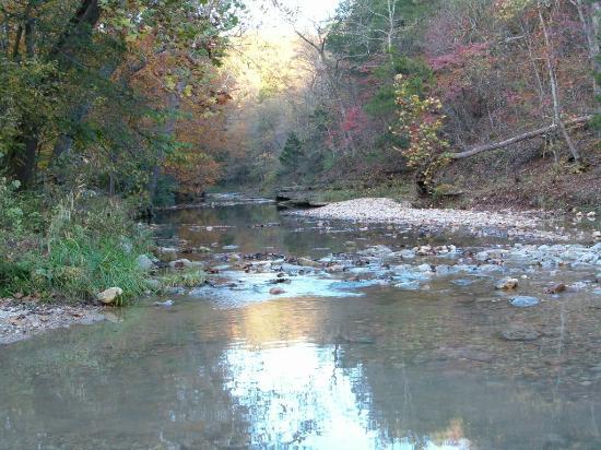 Reifsnider State Forest