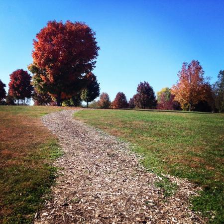 Lake Springfield Park
