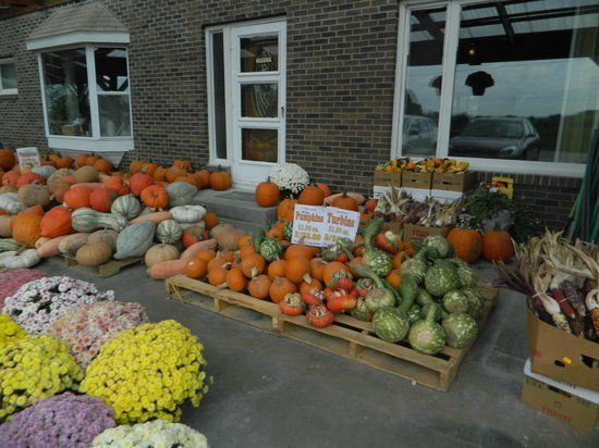 Dutch Bakery & Bulk Food Store
