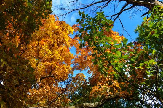 Weston Bend State Park