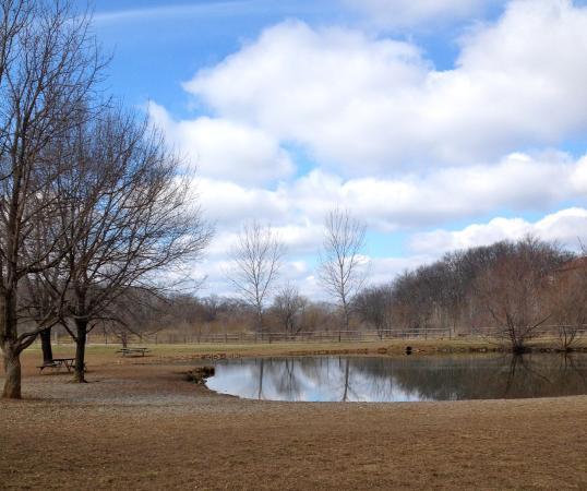 Garth Nature Area