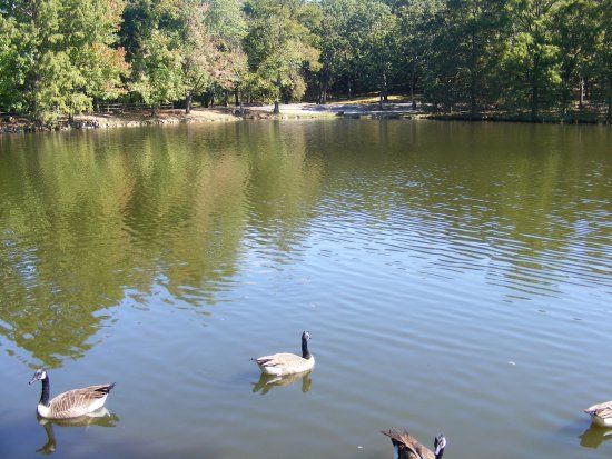 Dunnegan Memorial Park